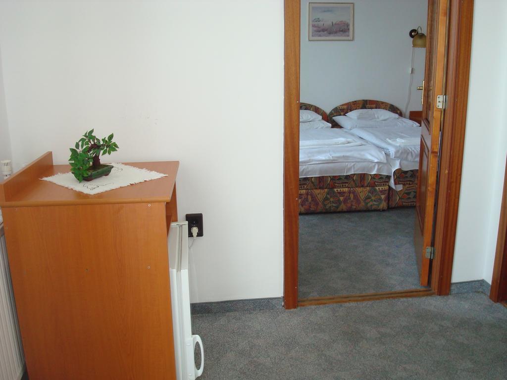 Hotel Termal Tiszaújváros Oda fotoğraf