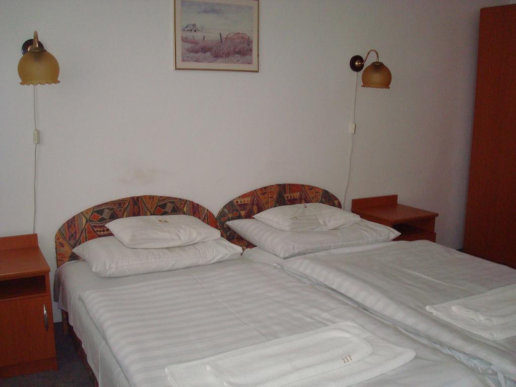 Hotel Termal Tiszaújváros Oda fotoğraf